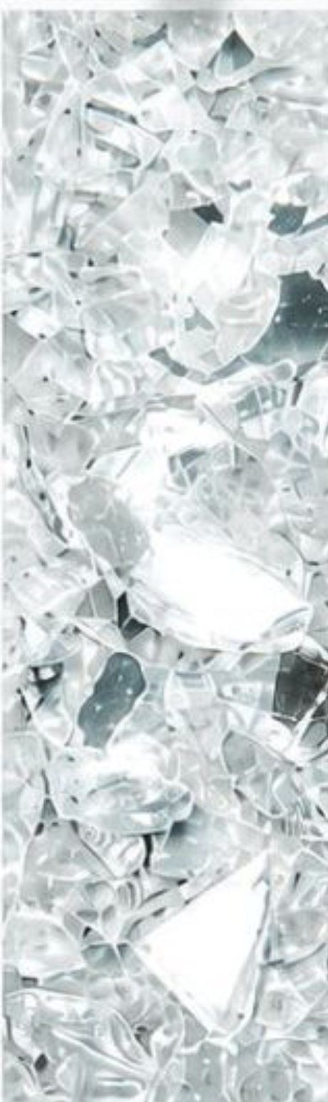 White backed mirror aggregate, macro