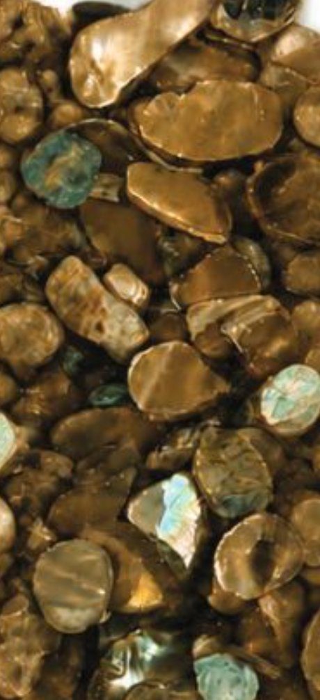 Abalone Natural shell aggregate swatch