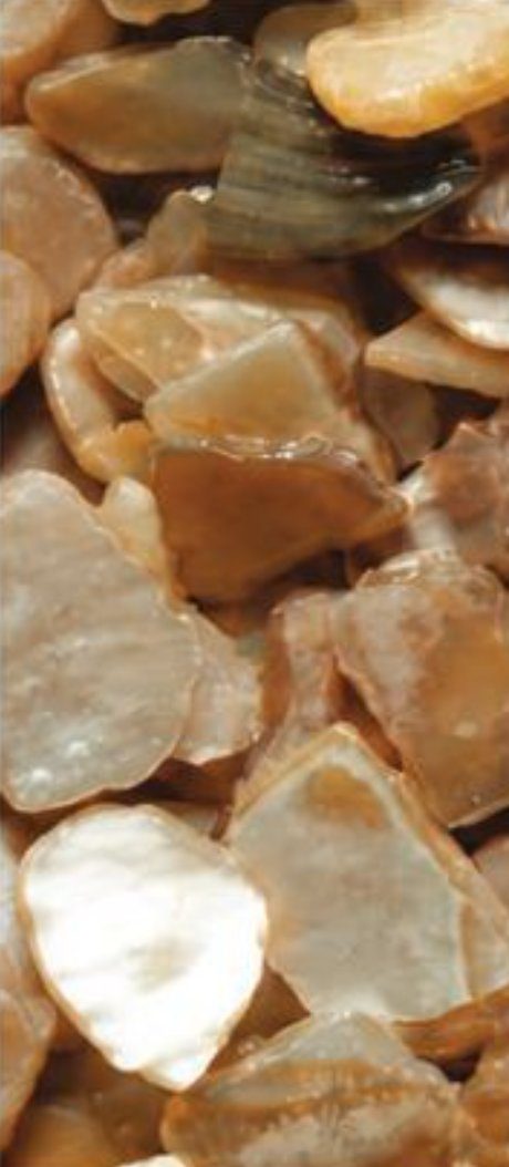 Classic Mother of Pearl shell aggregate swatch