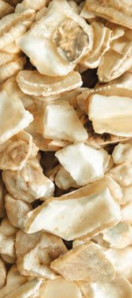 Modern Mother of Pearl shell aggregate swatch