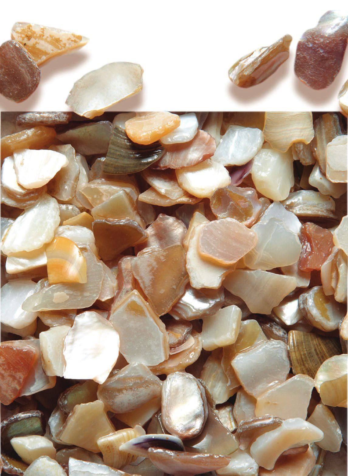Mother of pearl shell aggregate, macro